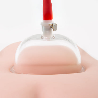 Système de pompe à vide pour vagin Intense Vagina Pussy Pump System Blush Temptasia